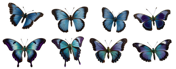 conjunto de hermosas mariposas con tonos azules y purpuras