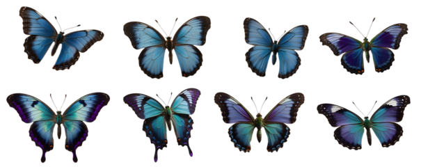 conjunto de hermosas mariposas con tonos azules y purpuras