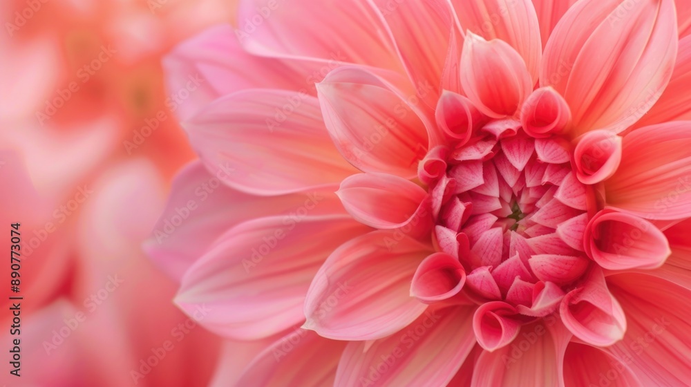 Aufkleber a detailed image of a pink flower, ideal for use in designs or as a decorative element