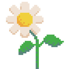 Pixel Daisy Flower Sunflower