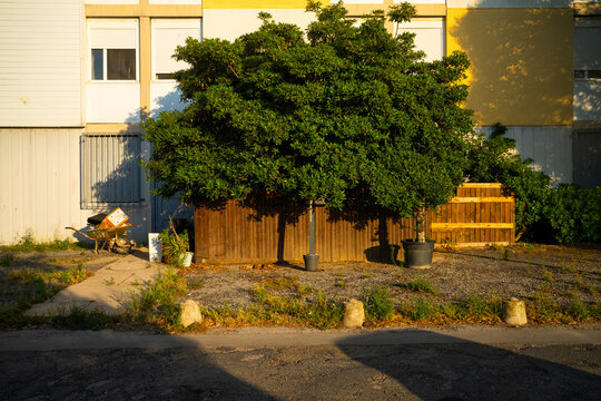 private development building garden wood facade architecture