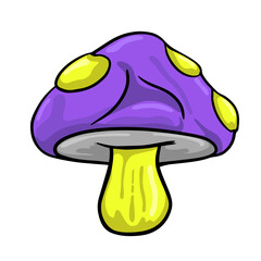 Mushroom Illustration
