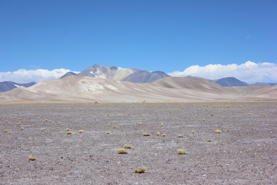 Altiplano Atacama