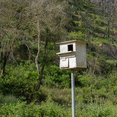 A Wooden Birdhouse in a Forest
