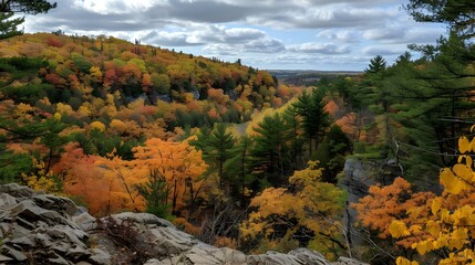 Obraz premium Gatineau Park forest in fall