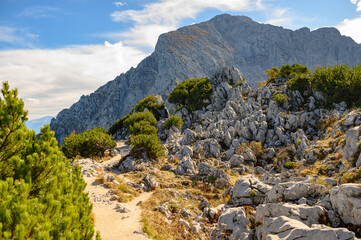 alps one High quality photo