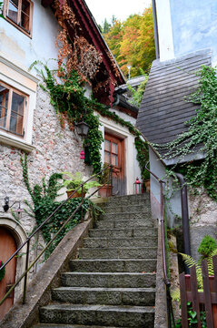halstat street High quality photo