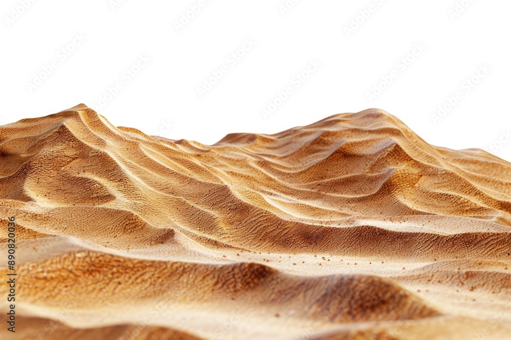 Poster a close-up view of a desert landscape with a vast expanse of white sky in the background