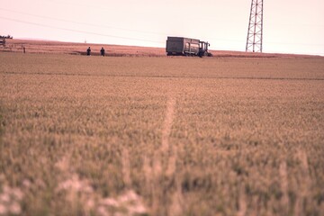 combine harvester working in a field