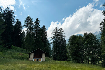 bosco di montagna chalet 