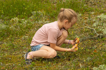 A young girl crouches in a forest meadow, carefully placing mushrooms into a plastic bag. She is wearing a pink shirt and denim shorts, fully engaged in her foraging activity.