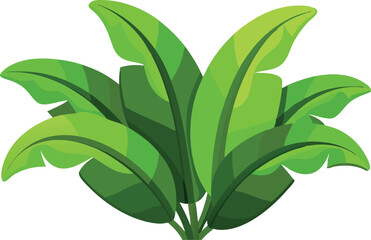 Naklejka premium Colorful illustration of a vibrant green plant featuring large, broad leaves, showcased on a clean white background.