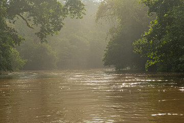 Rio Frio river in the Cano Negro nature reserve in Costa Rica
