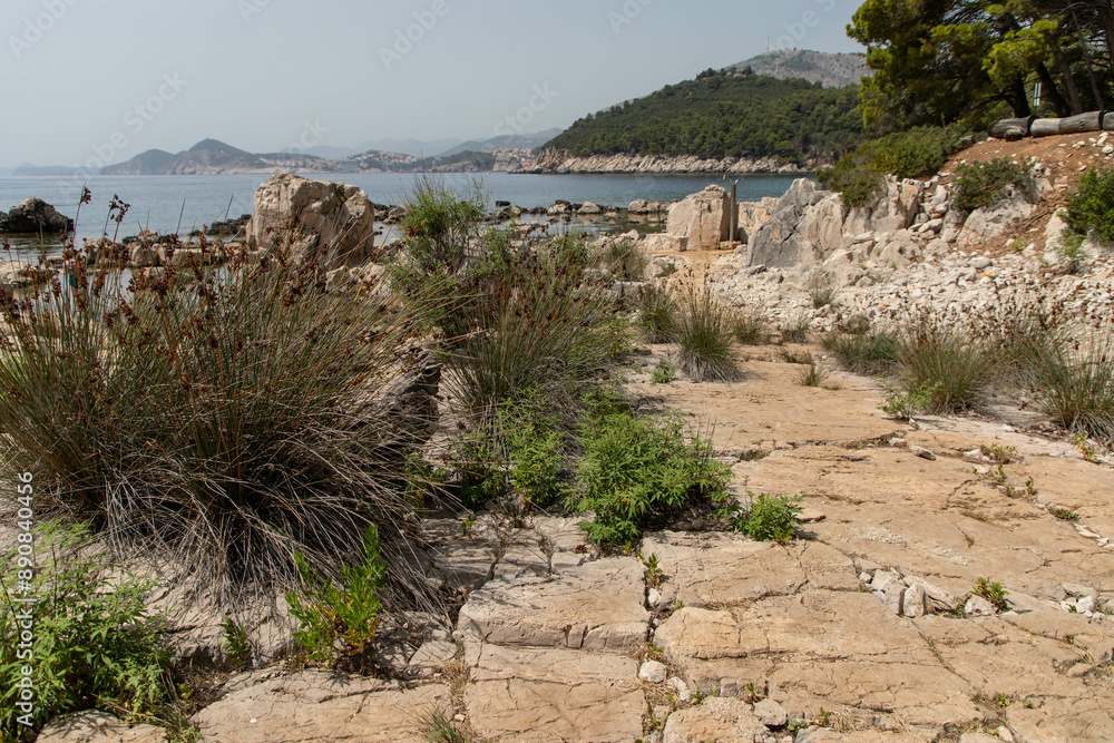 Wall mural insel lokrum bei dubrovnik