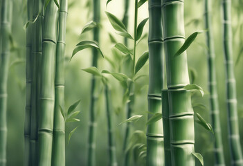 Sculptured Stucco Artwork of Majestic Bamboo Shoots Bamboo Leaves and Stems Crafted in 3D Relief to