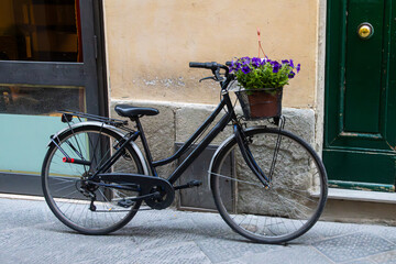 Bicycle with a basket of flowers parked on an alley