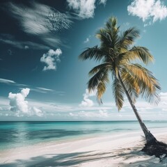 A palm tree is standing on a beach with a clear blue sky above it. The scene is peaceful and serene, with the palm tree providing a sense of calm and relaxation. The beach itself is a beautiful