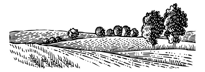 Fototapeta premium farmland pasture line engraving black and white outline