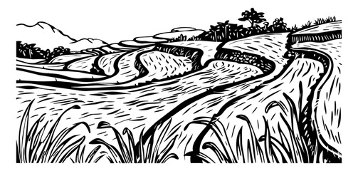 Obraz premium rice field landscape engraving black and white outline