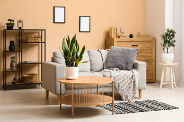 Cozy sofa with plaid, cushion and coffee table with plant in living room