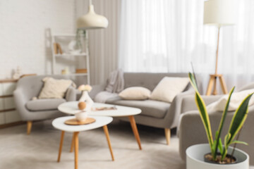 Cozy sofa, armchairs with cushions and coffee tables with cup of tea and flowers in vase in living room. Blurred view