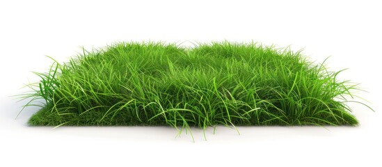 Lush Green Grass Patch on White Background