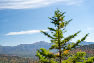 Views overlooking White Mountain National Forest during the beginning of Fall.