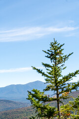 Views overlooking White Mountain National Forest during the beginning of Fall.