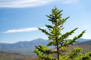 Views overlooking White Mountain National Forest during the beginning of Fall.