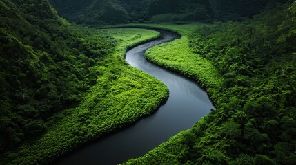 An aerial depiction of a picturesque river snaking its way through a verdant and vibrant green valley, highlighting the majestic and pristine beauty of natural landscapes.