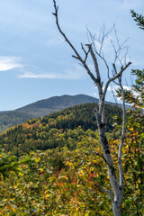 Views overlooking White Mountain National Forest during the beginning of Fall.