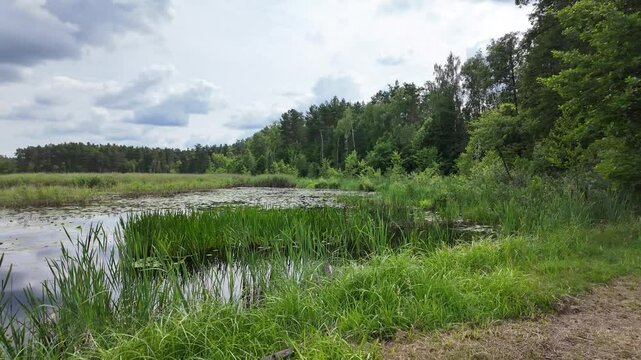 "Zolwiowe blota" - Turtle Muds nature reserve area in Poland