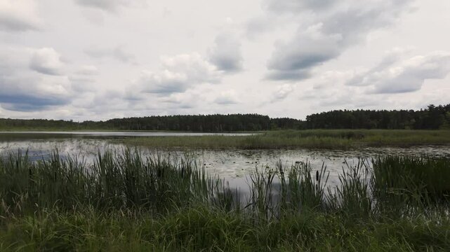 "Zolwiowe blota" - Turtle Muds nature reserve area in Poland