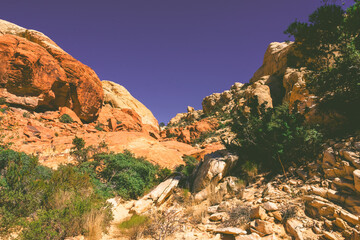 Fototapeta premium red rock canyon