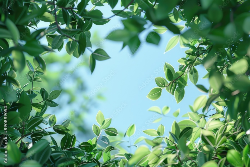Poster A bird perched on the edge of a tree branch, surrounded by leaves and branches