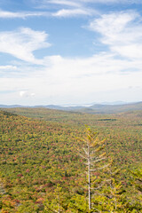 Views overlooking White Mountain National Forest during the beginning of Fall.