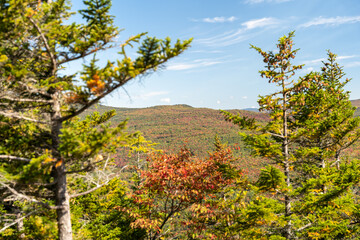 Naklejka premium Views overlooking White Mountain National Forest during the beginning of Fall.