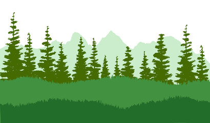 Fototapeta premium Spruce tree silhouette. Pine tree silhouette. Spruce forest