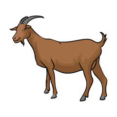 Nigerian dwarf goat Breeds of domestic goats, dairy goat, Flat vector illustration Isolated object on white background