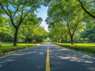 Obraz premium Tranquil Midday Stroll: Serene Empty Park Road under Clear Sky