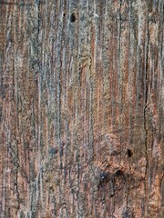 Smooth texture of old wooden surface 