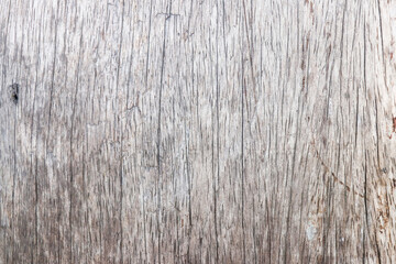 Fototapeta premium old wood background