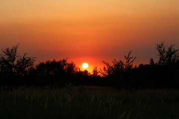 Fototapeta premium sunset 
