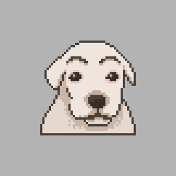 Dog with eyebrows, pixel art meme
