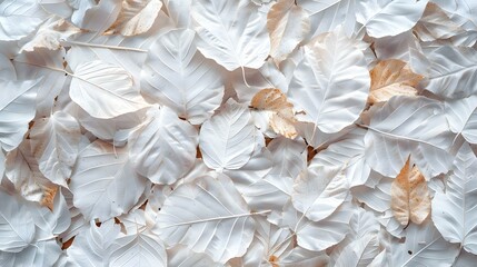 Closeup texture of leaves in an abstract background