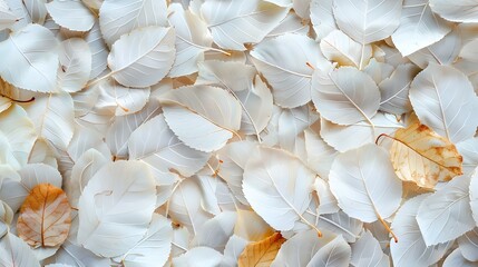 Close-up texture of leaves - abstract background