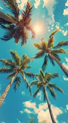 Tropical palm trees against sunny blue sky