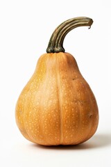 Mystic photo of Butternut Squash pumpkin, isolated on white background