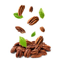Pecan nuts and green leaves in air on white background