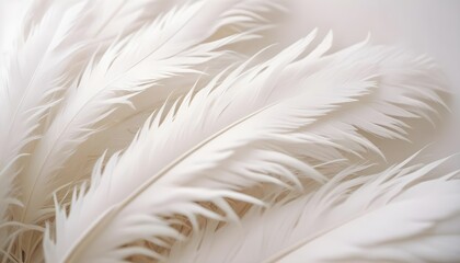 Clear Plain Shiny Soft Vintage Bokeh Cloudy Wave Like Geometric White Background or Texture